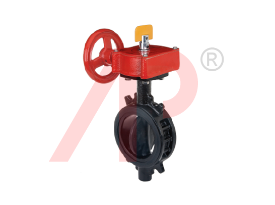 /uploads/products/product/tyco-valve/van-buom-bfv-300-03.png