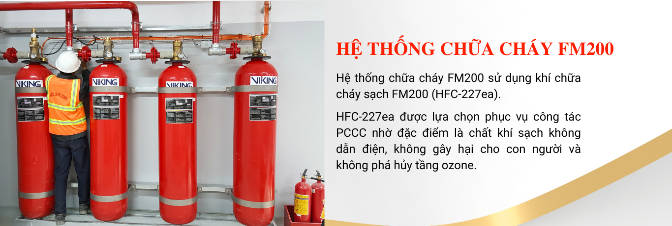 Viking FM-200 Fire Suppression System